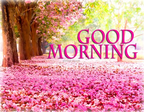 Best morning pictures - Nature photo with bird and flower. Sweet good morning nature with rabbit image. Nature lovers also like birds and animals. So, you can add picture of them with your wishes. Nature with snow mountain image and good morning quote. Good morning nature with sunrise HD pic. Nature with sunrise in Forest pic.